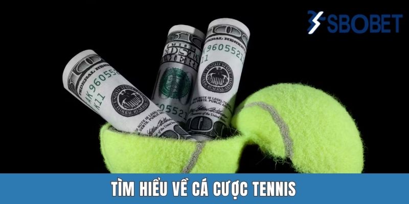 Cá Cược Tennis Sbobet | Bung Xõa Đam Mê Cùng Các Kèo “Banh Nỉ” Tìm hiểu về cá cược tennis