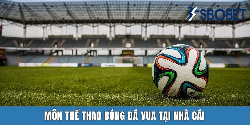 Thể Thao Sbobet – Sân Chơi Đẳng Cấp Hàng Đầu Cho Tân Binh Môn thể thao bóng đá vua tại nhà cái