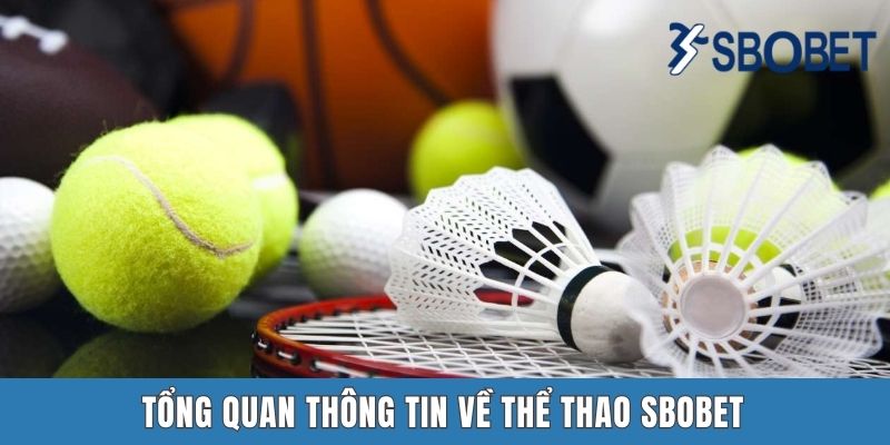 Thể Thao Sbobet – Sân Chơi Đẳng Cấp Hàng Đầu Cho Tân Binh Tổng quan thông tin về thể thao Sbobet